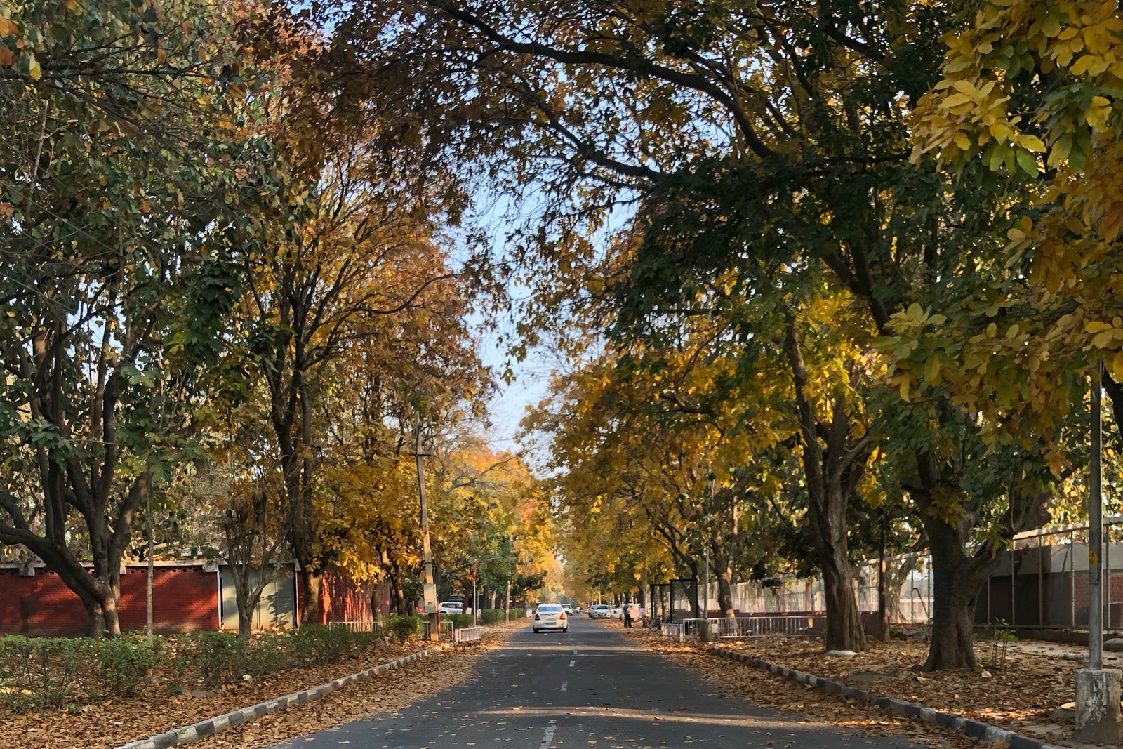 Delhi to Chandigarh: Flights, Trains & Road Trips (The Fun, Fast & Scenic Guide)